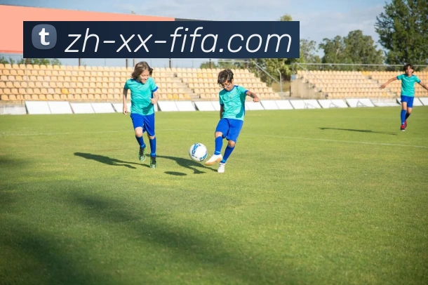 世界杯赛程平台生态图